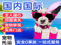吐鲁番交河机场快运国际宠物托运 【国